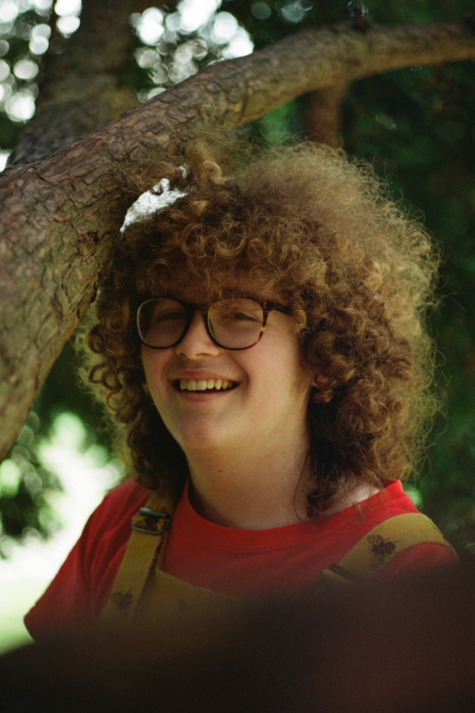 Image: A picture of Robin Thorn in a tree. they are wearing yellow bee print dungarees and a red t-shirt. They have big curly hair and are wearing faux tortoise shel glasses with large round frames. They are smiling
